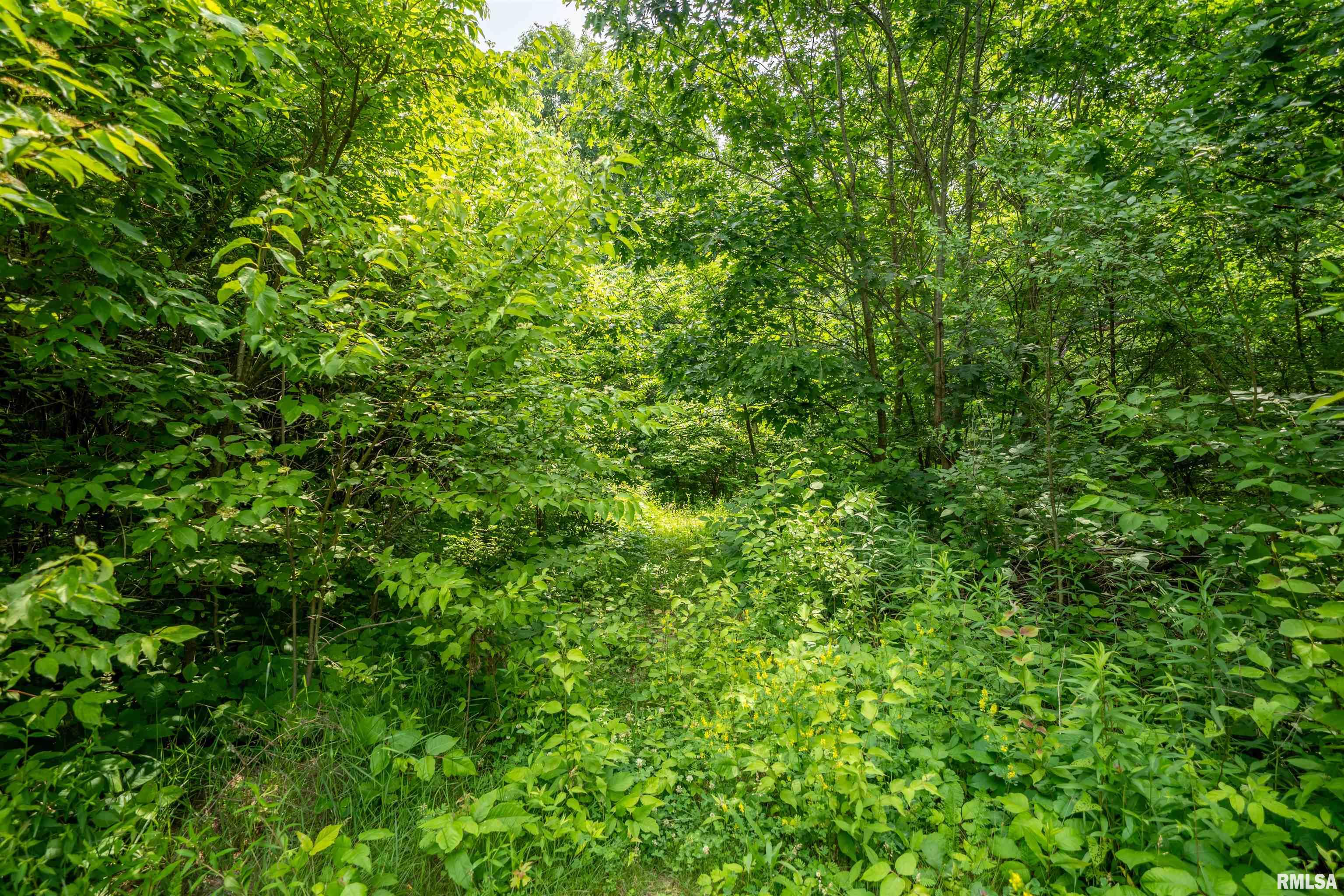 5115 West Harp Hollow Road Peoria, IL 61607 - Photo 6 of 7