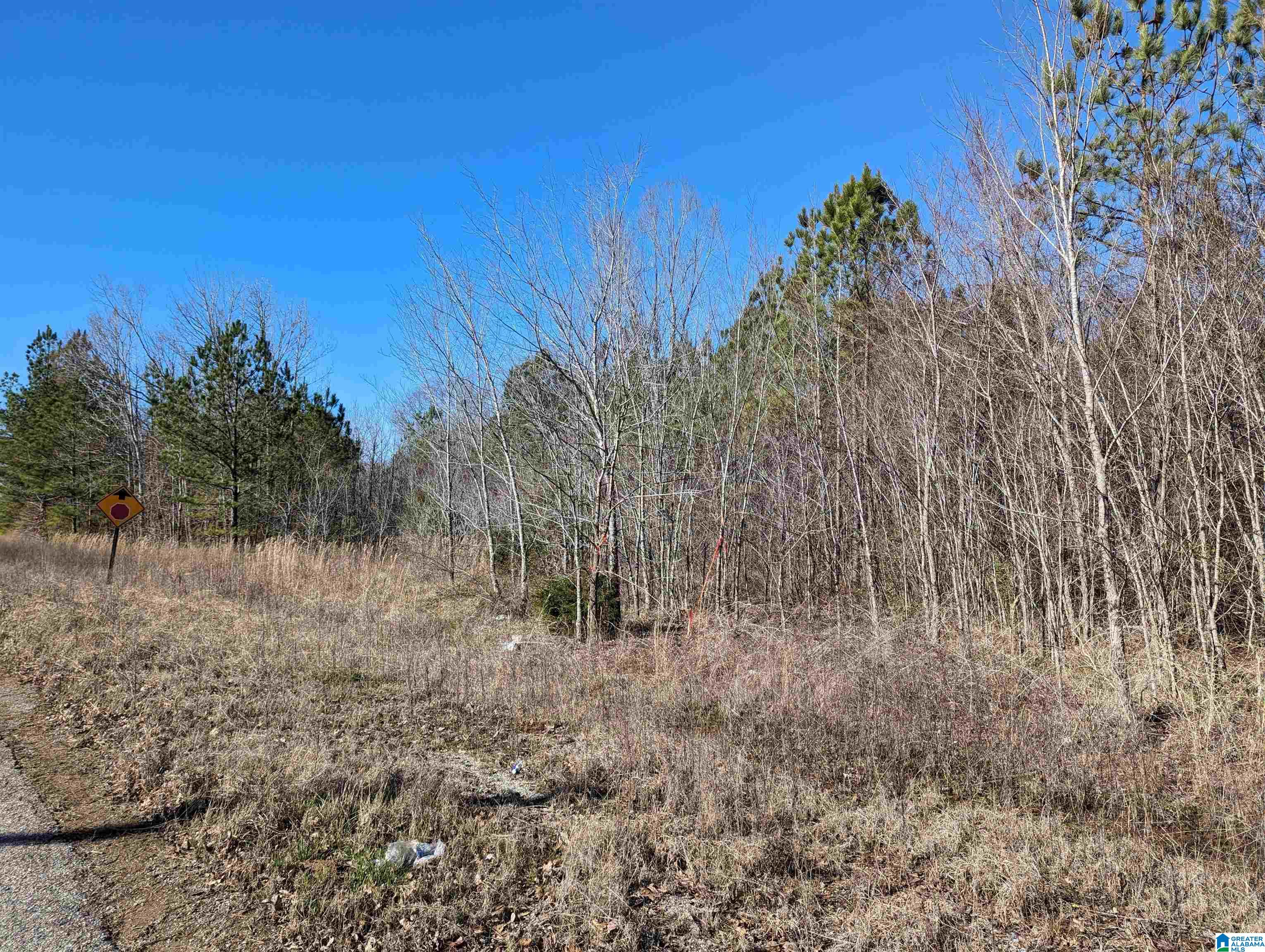 0 Chandler Springs Road Talladega, AL 35160 - Photo 6 of 35