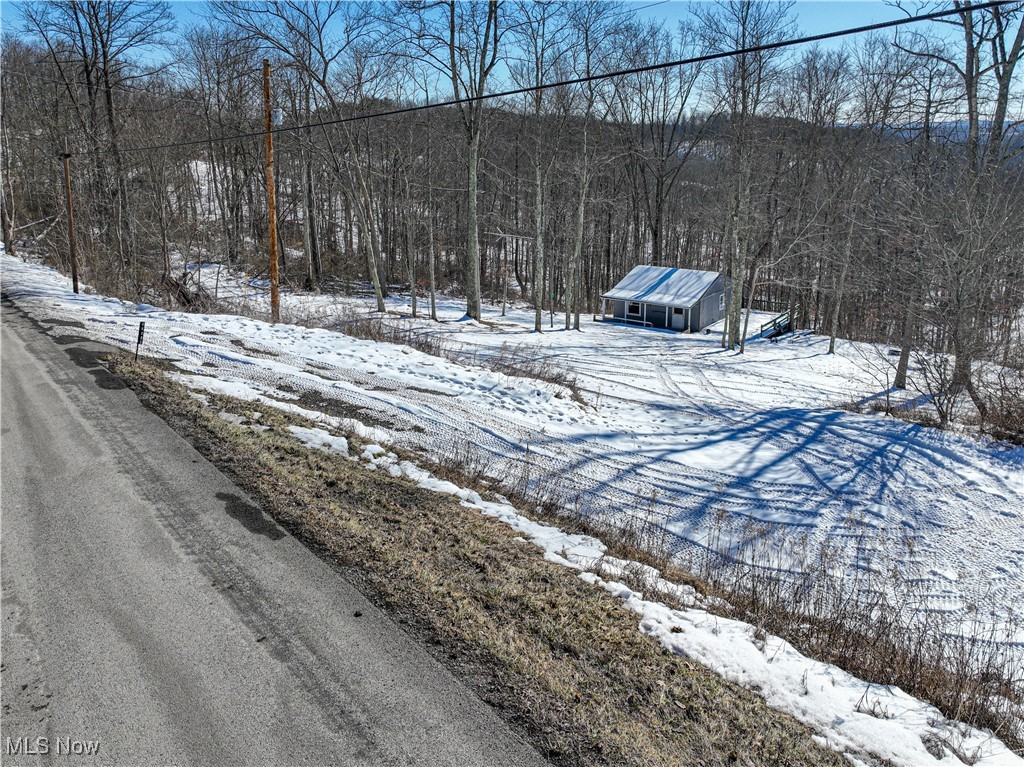 44883 Bondi Ridge Road Woodsfield, OH 43793 - Photo 4 of 47