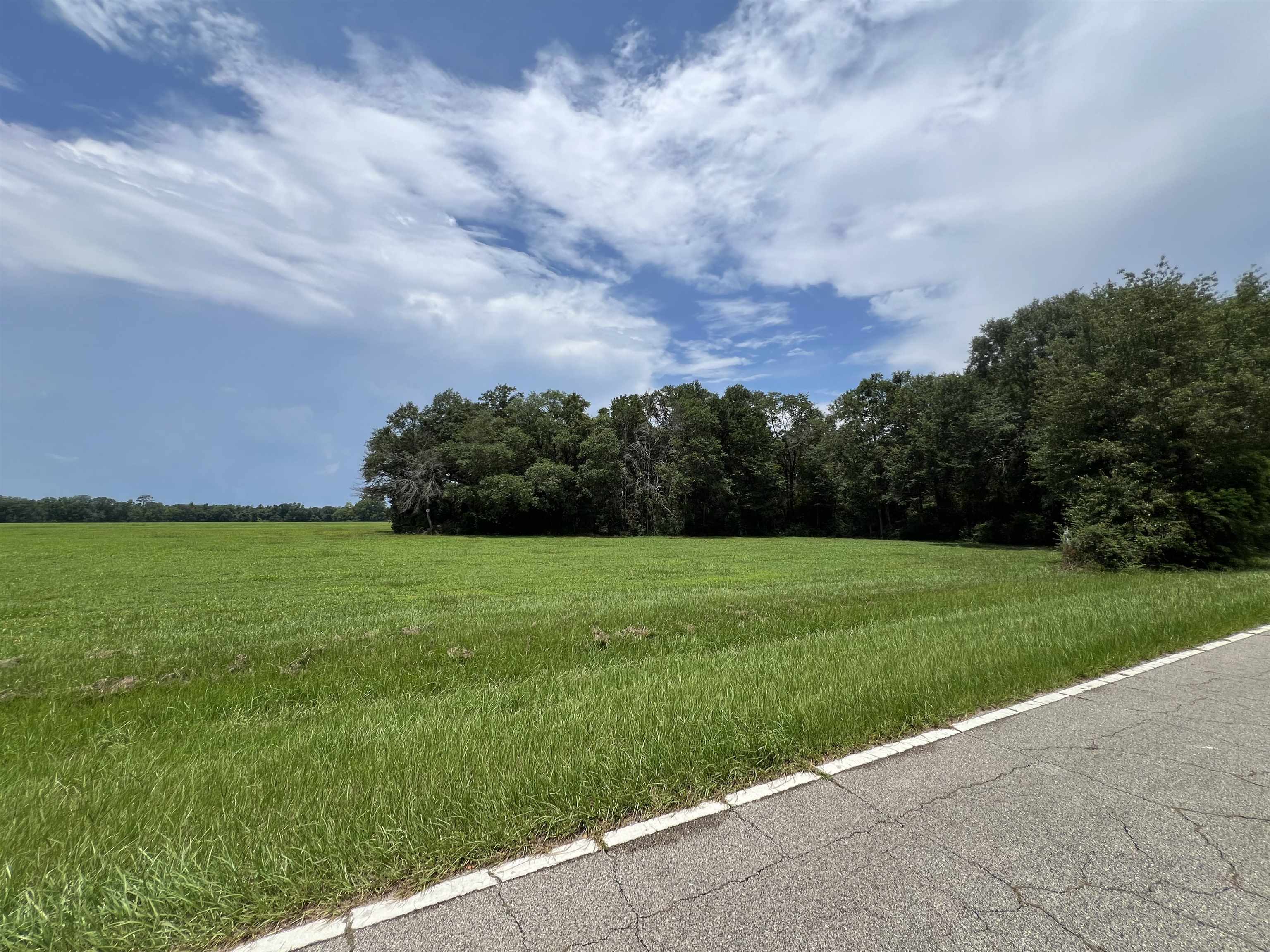 Xx Xx Max Herrin Road Quincy, FL 32352 - Photo 27 of 46