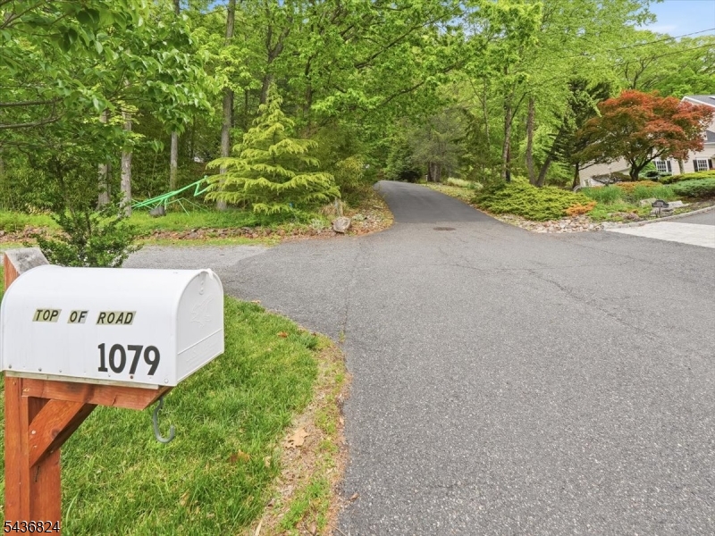 1079 Hoffman Road Bridgewater, NJ 08807 - Photo 9 of 50