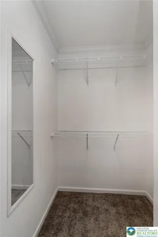 a view of storage and utility room with racks on the wall