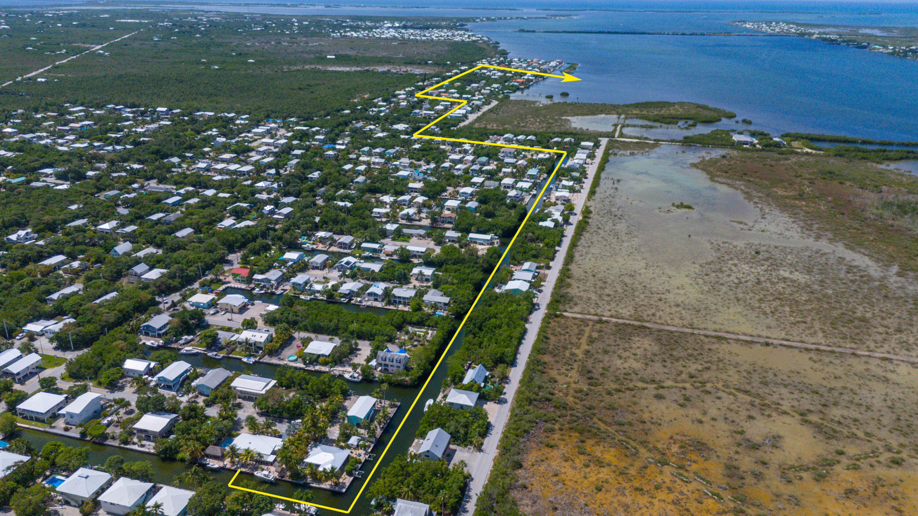 29013 Marigold Drive Big Pine Key, FL 33043 - Photo 51 of 52 a picture of plants