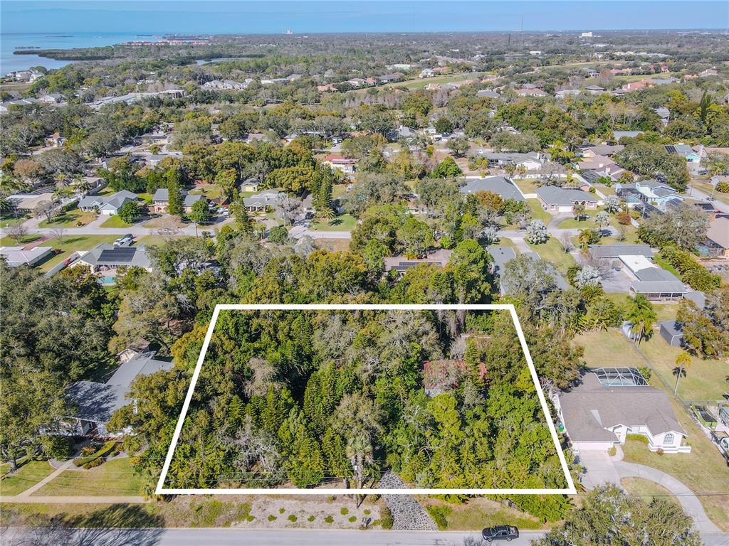 809 Cardinal Avenue Palm Harbor, FL 34683 - Photo 2 of 66 an aerial view of a residential houses with outdoor space