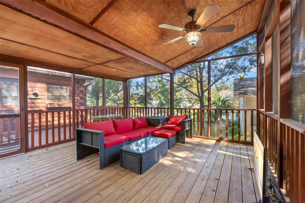 809 Cardinal Avenue Palm Harbor, FL 34683 - Photo 22 of 66