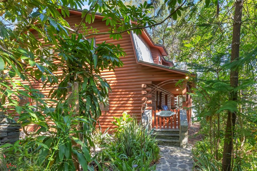 809 Cardinal Avenue Palm Harbor, FL 34683 - Photo 3 of 66 a view of a house with a tree