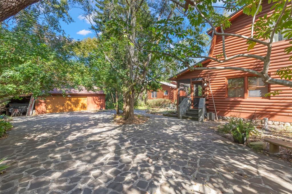 809 Cardinal Avenue Palm Harbor, FL 34683 - Photo 48 of 66 a backyard of a house with a tree