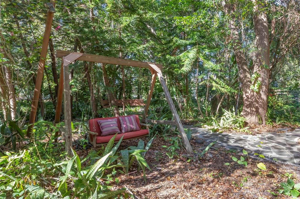 809 Cardinal Avenue Palm Harbor, FL 34683 - Photo 52 of 66 a wooden bench sitting in the middle of a forest