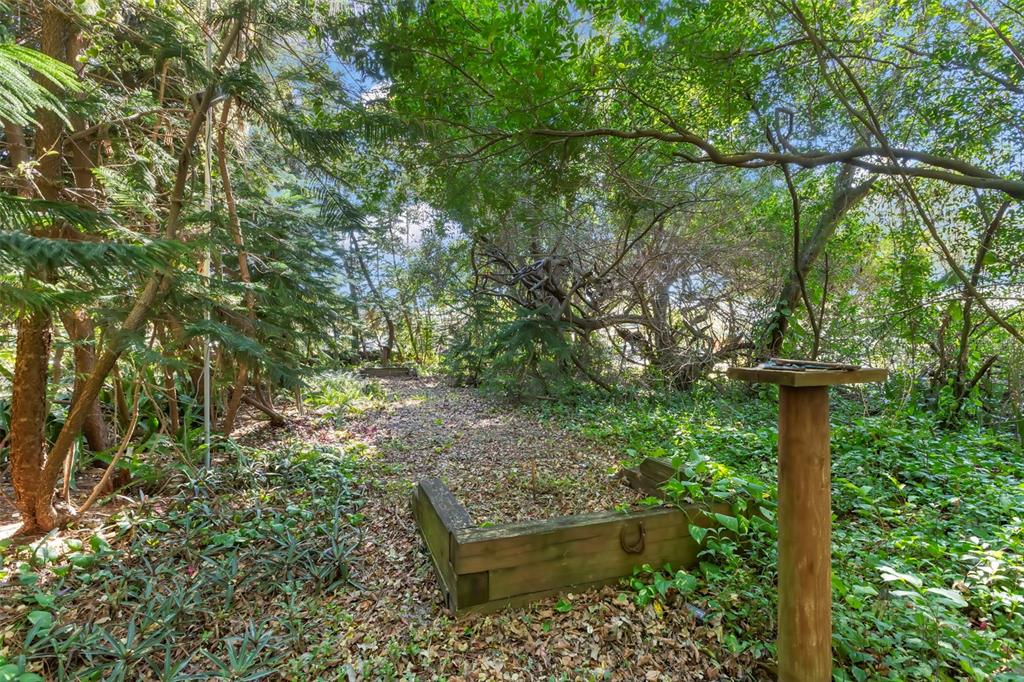 809 Cardinal Avenue Palm Harbor, FL 34683 - Photo 55 of 66 a view of a garden with plants