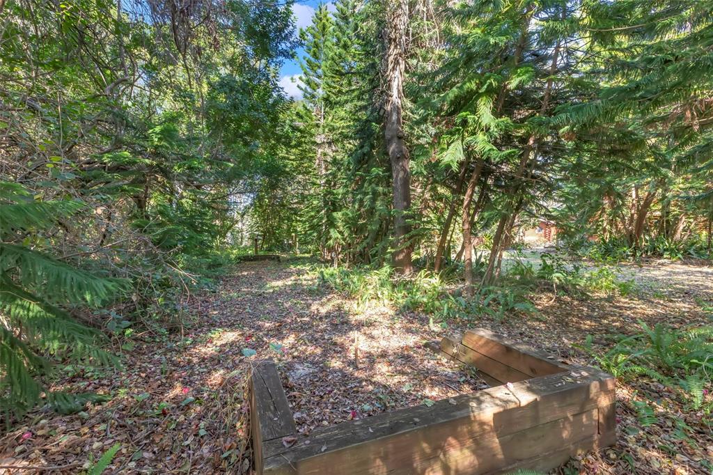 809 Cardinal Avenue Palm Harbor, FL 34683 - Photo 56 of 66 a backyard of a house with lots of green space