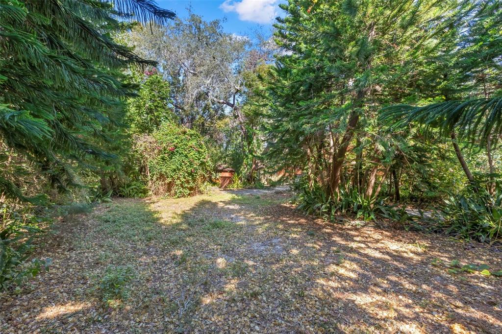 809 Cardinal Avenue Palm Harbor, FL 34683 - Photo 57 of 66