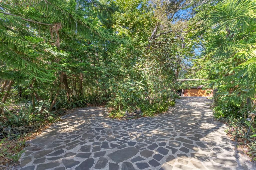 809 Cardinal Avenue Palm Harbor, FL 34683 - Photo 58 of 66 a backyard of a house with large trees