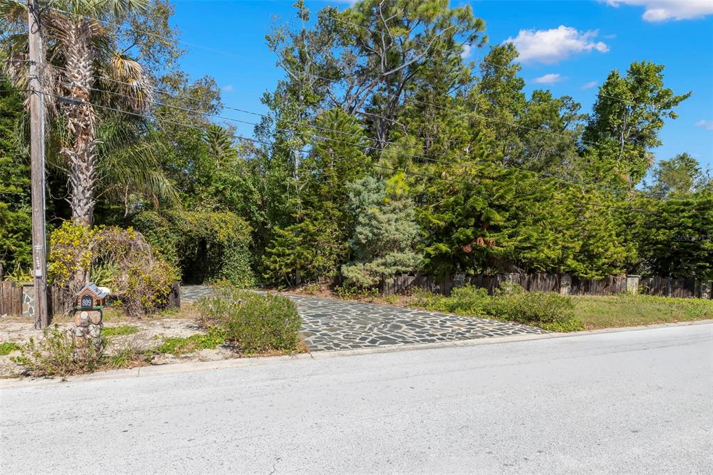 809 Cardinal Avenue Palm Harbor, FL 34683 - Photo 63 of 66