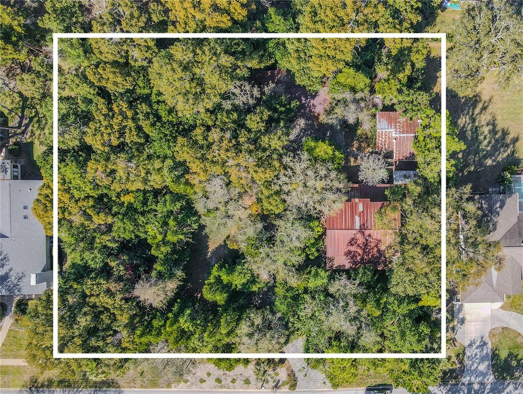 809 Cardinal Avenue Palm Harbor, FL 34683 - Photo 64 of 66