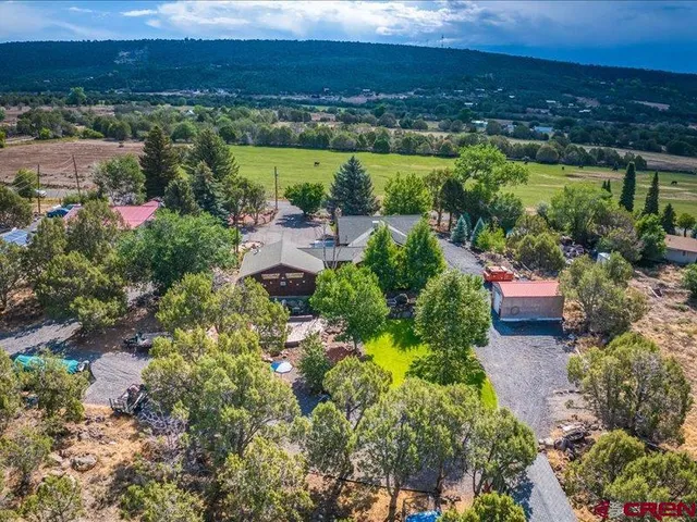 a view of a backyard with plants and a patio