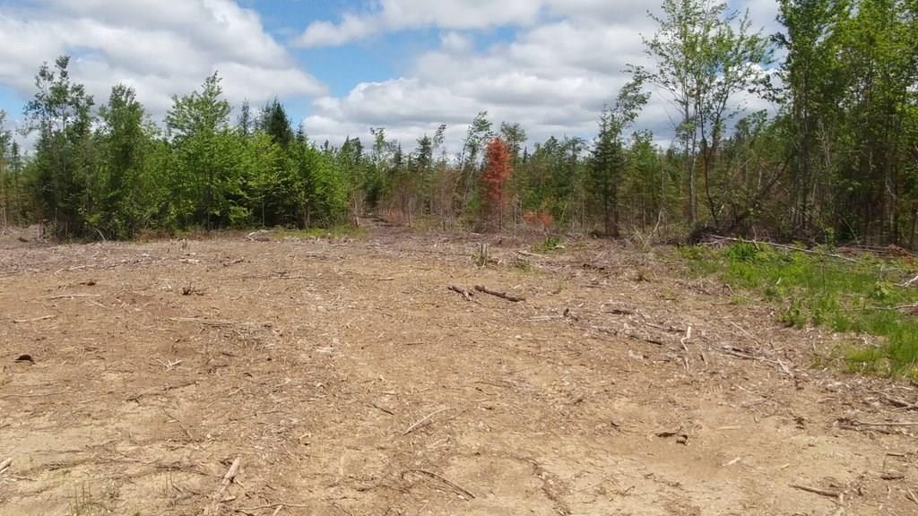 Off Jackins Settlement Road Orient, ME 04471 - Photo 5 of 25 Photo