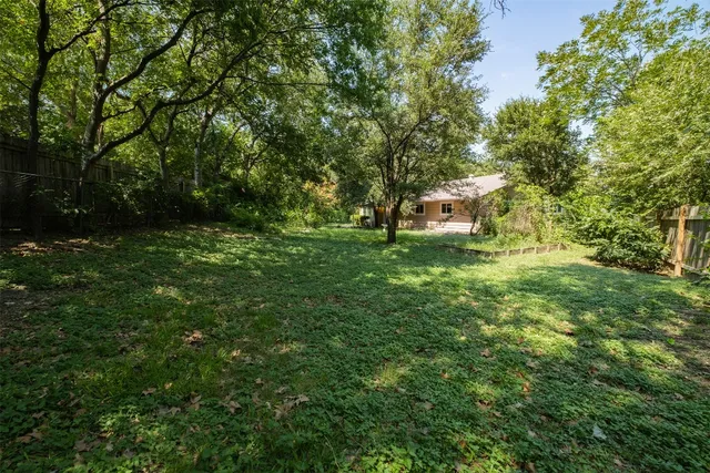 a view of a big yard with large trees