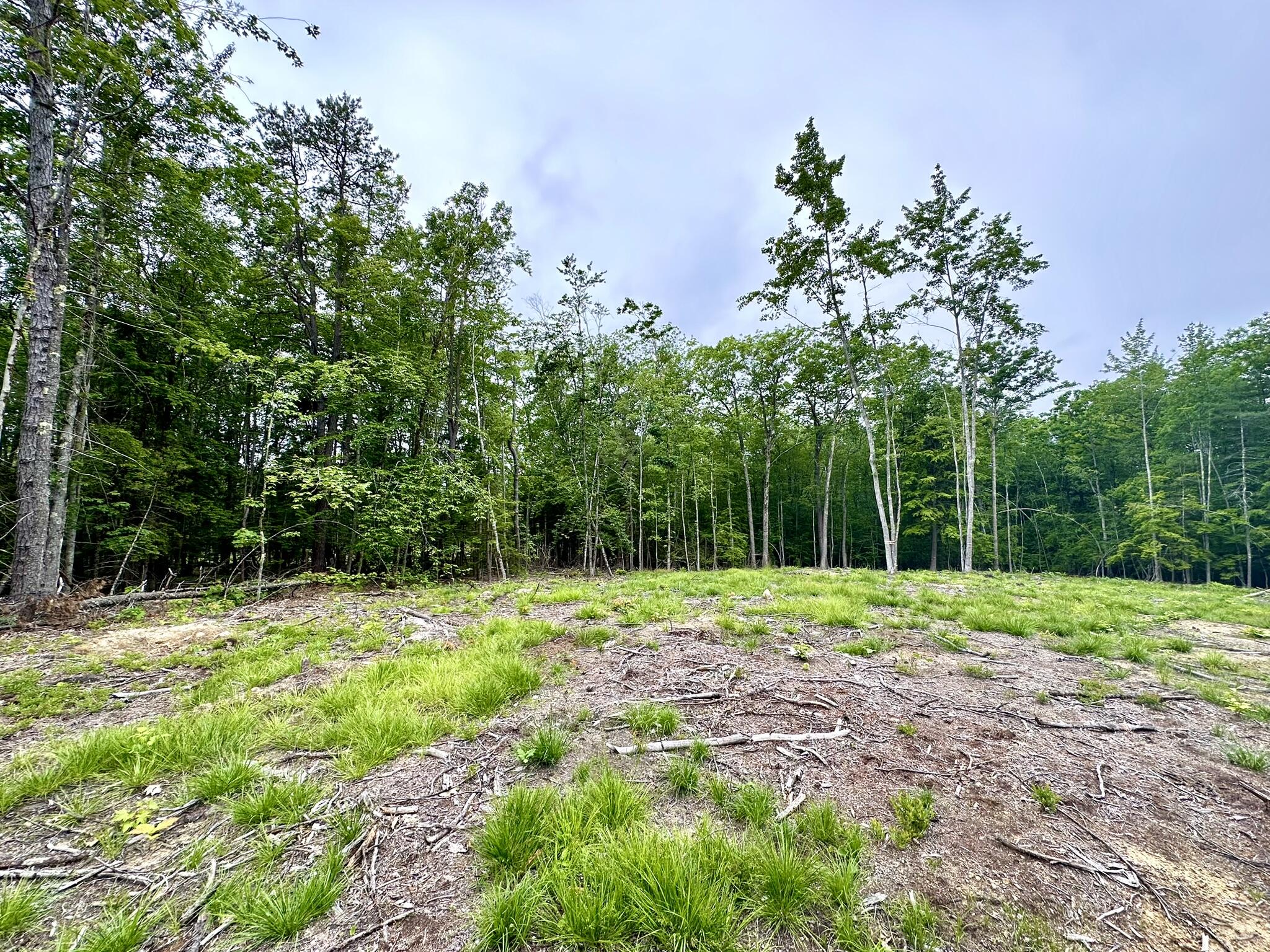 35 Norton Ridge Road Shapleigh, ME 04076 - Photo 5 of 7 Quiet country setting.
