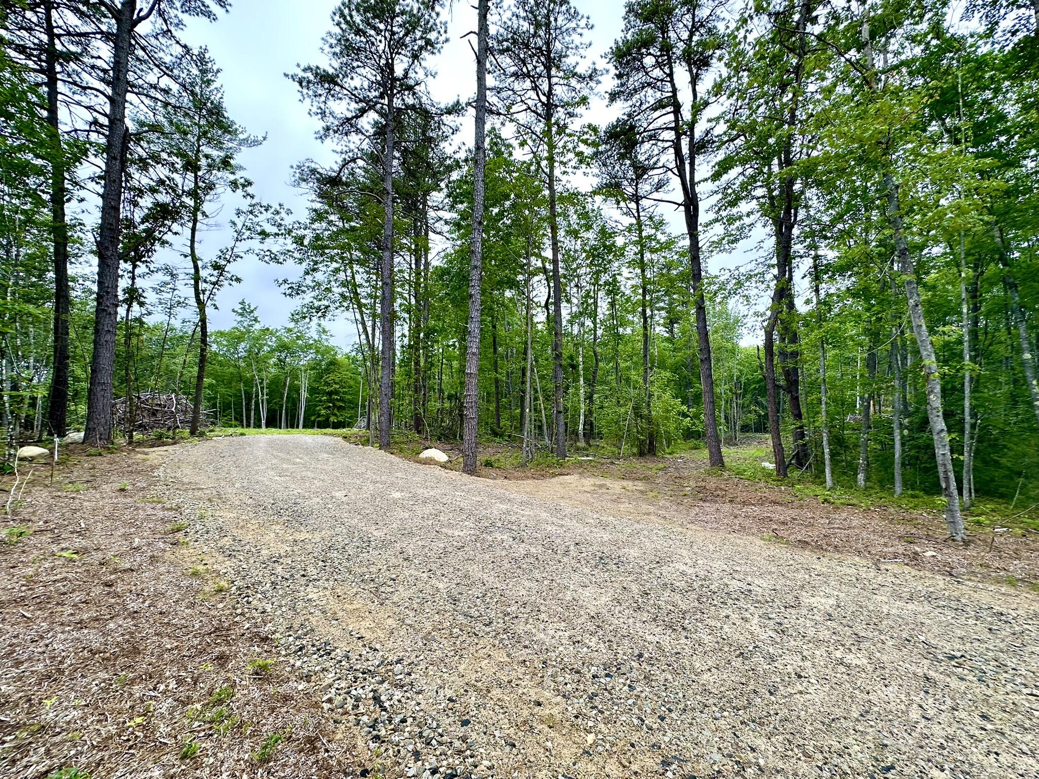 35 Norton Ridge Road Shapleigh, ME 04076 - Photo 6 of 7 View from driveway of open lot.