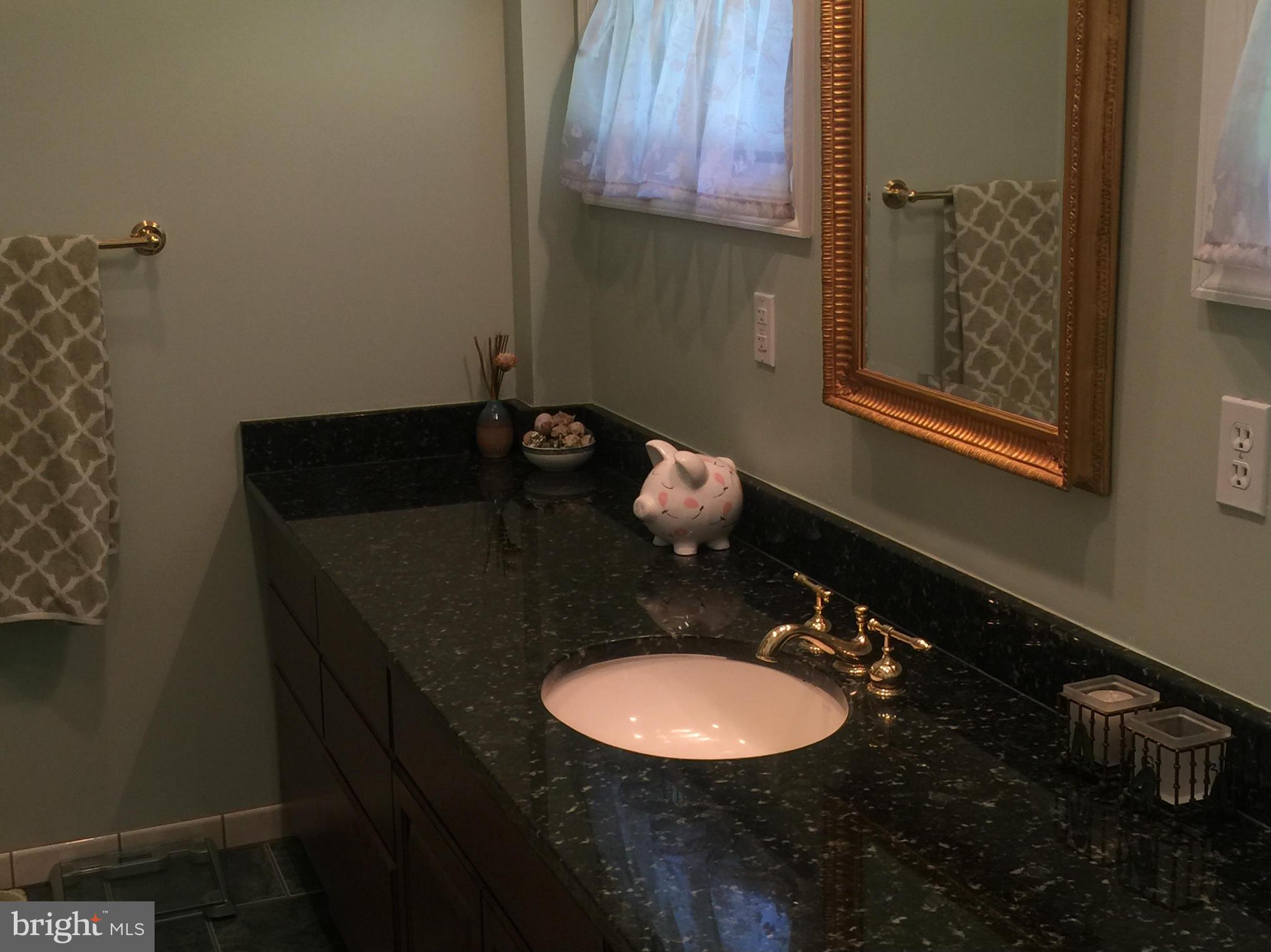 910 Notley Road Silver Spring, MD 20904 - Photo 18 of 28 a bathroom with a sink and mirror