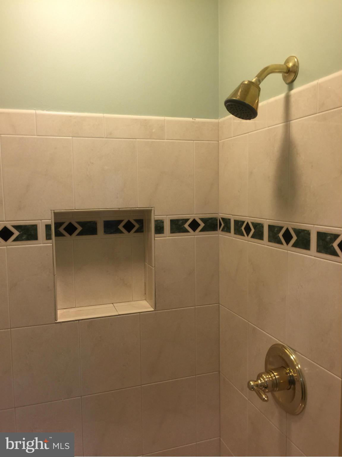 910 Notley Road Silver Spring, MD 20904 - Photo 19 of 28 a close view of a shower in bathroom