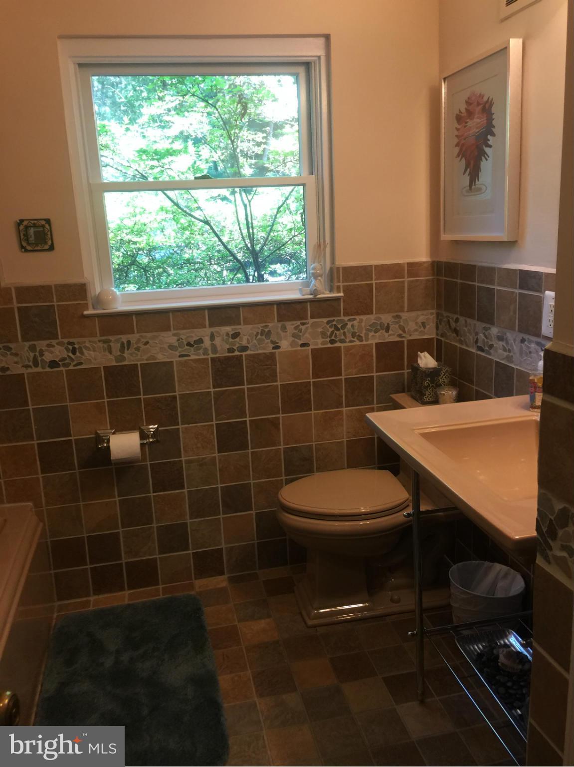910 Notley Road Silver Spring, MD 20904 - Photo 22 of 28 a bathroom with a sink a toilet and a window