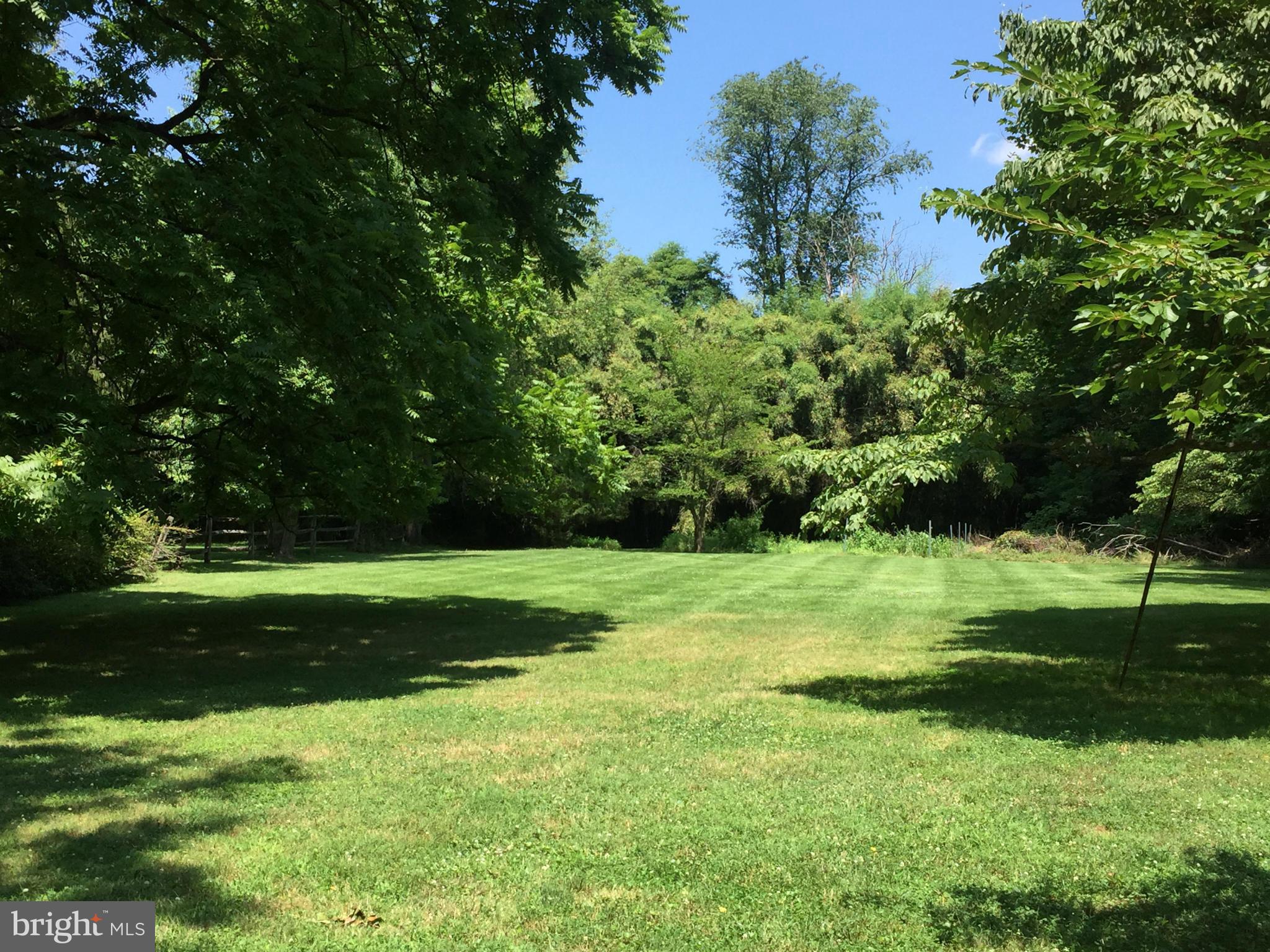 910 Notley Road Silver Spring, MD 20904 - Photo 5 of 28 a view of a park with large trees