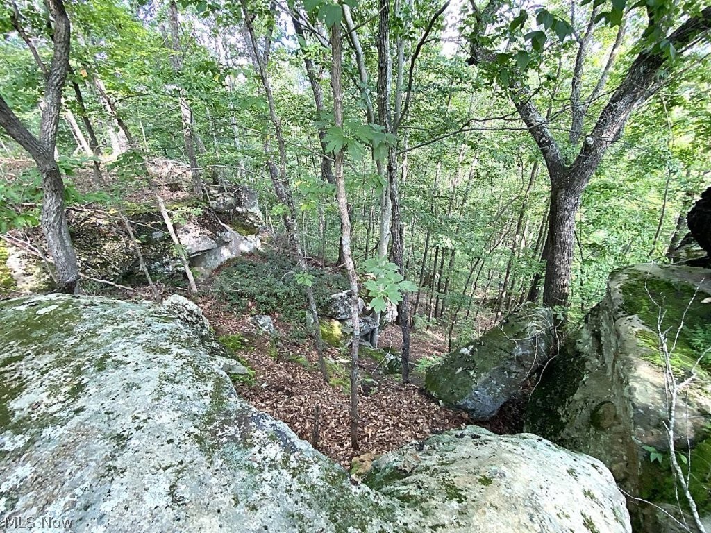 Little Left Hand Road Amma, WV 25005 - Photo 12 of 18 Gallery Image 12