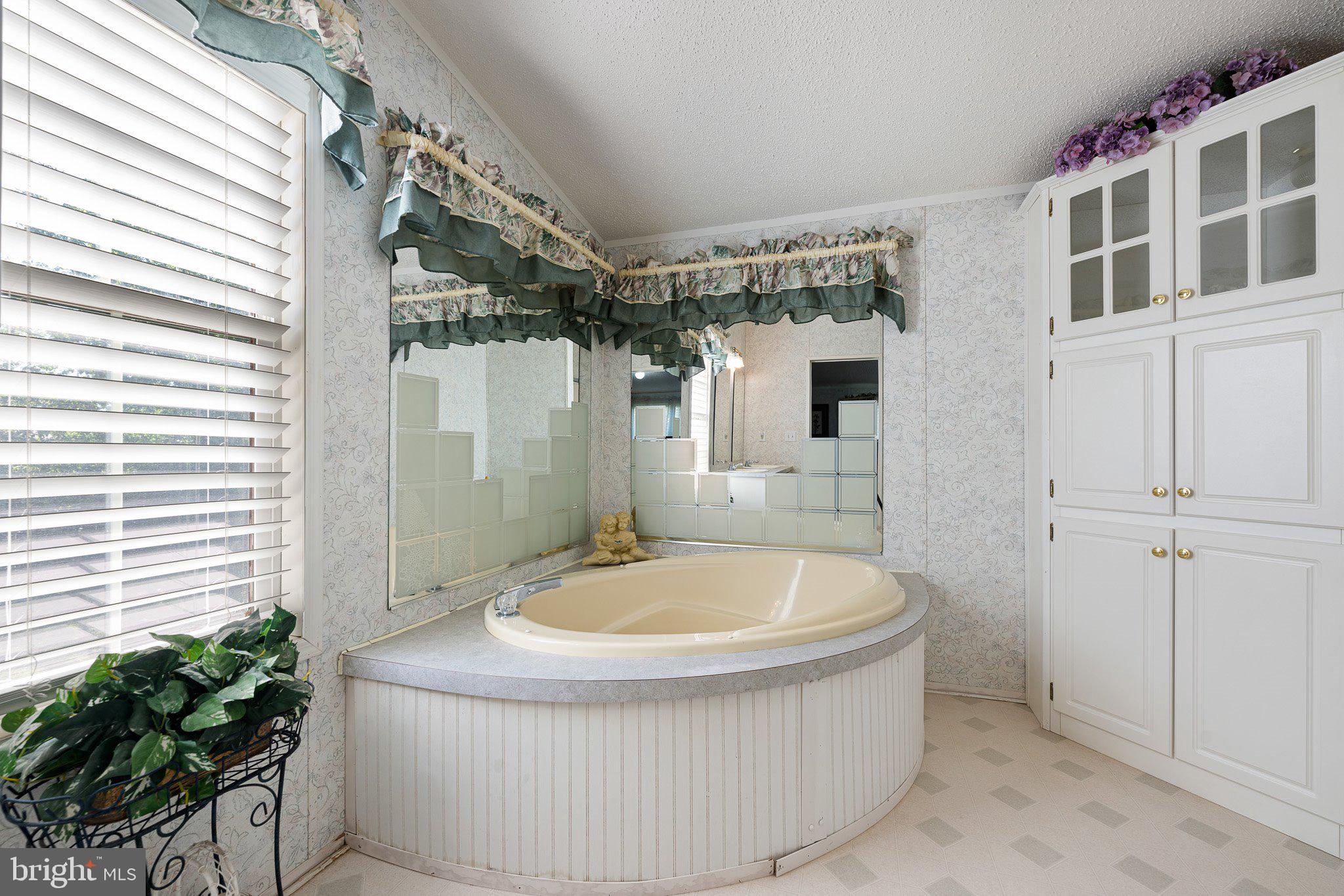 29044 Log Cabin Hill Road Lewes, DE 19958 - Photo 17 of 36 a bathroom with a tub a potted plant and a sink