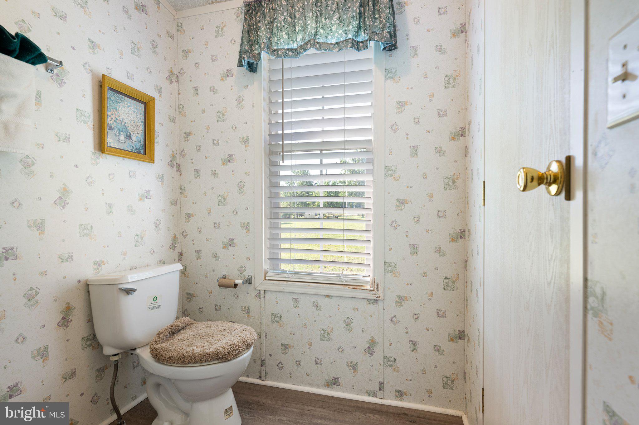 29044 Log Cabin Hill Road Lewes, DE 19958 - Photo 21 of 36 a bathroom with a sink and a toilet
