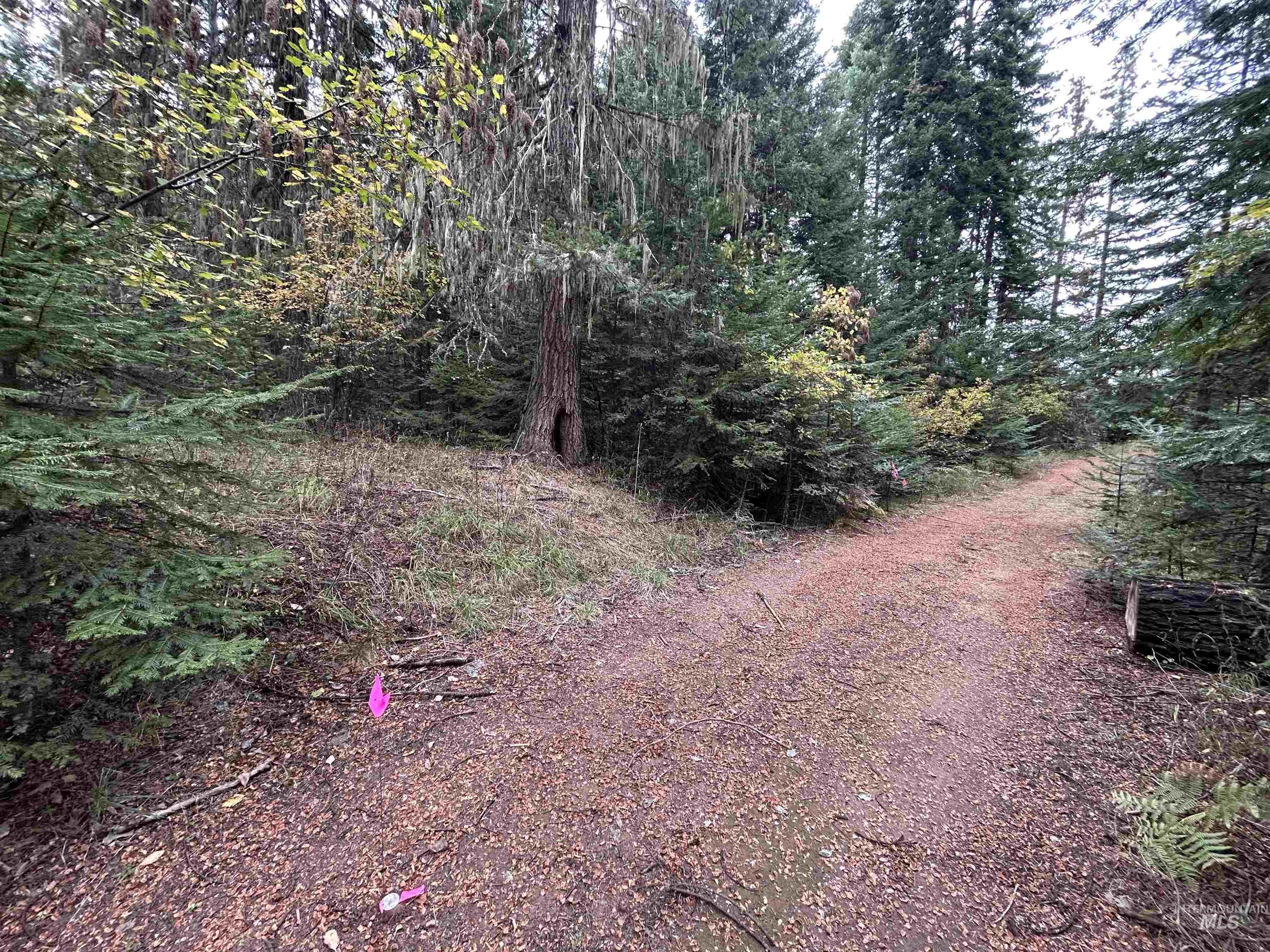 Tbd Lot 3 Tbd Road Kamiah, ID 83536 - Photo 13 of 19