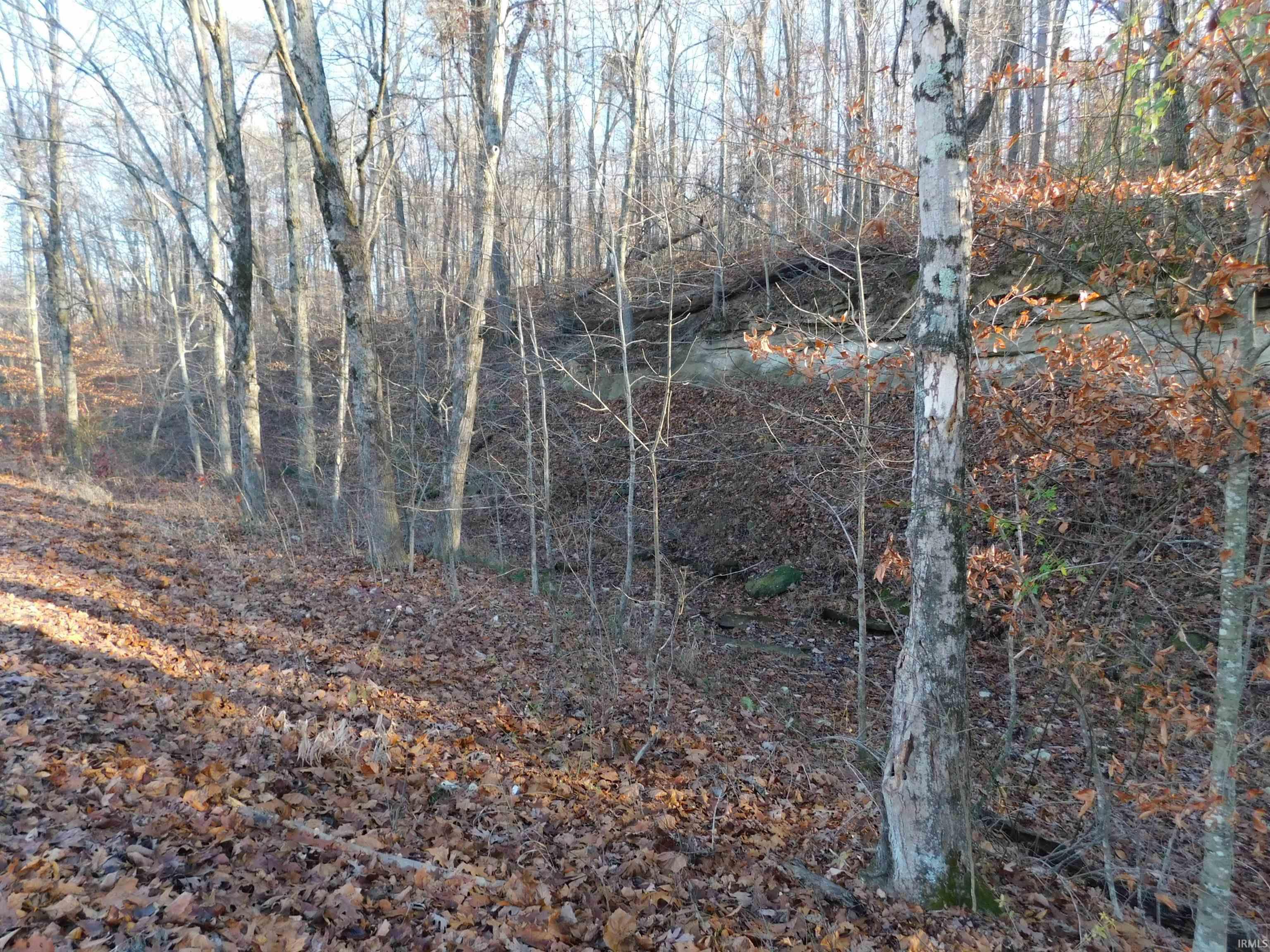 South Bowers Knob Road Pekin, IN 47165 - Photo 29 of 32 Gallery Image 29