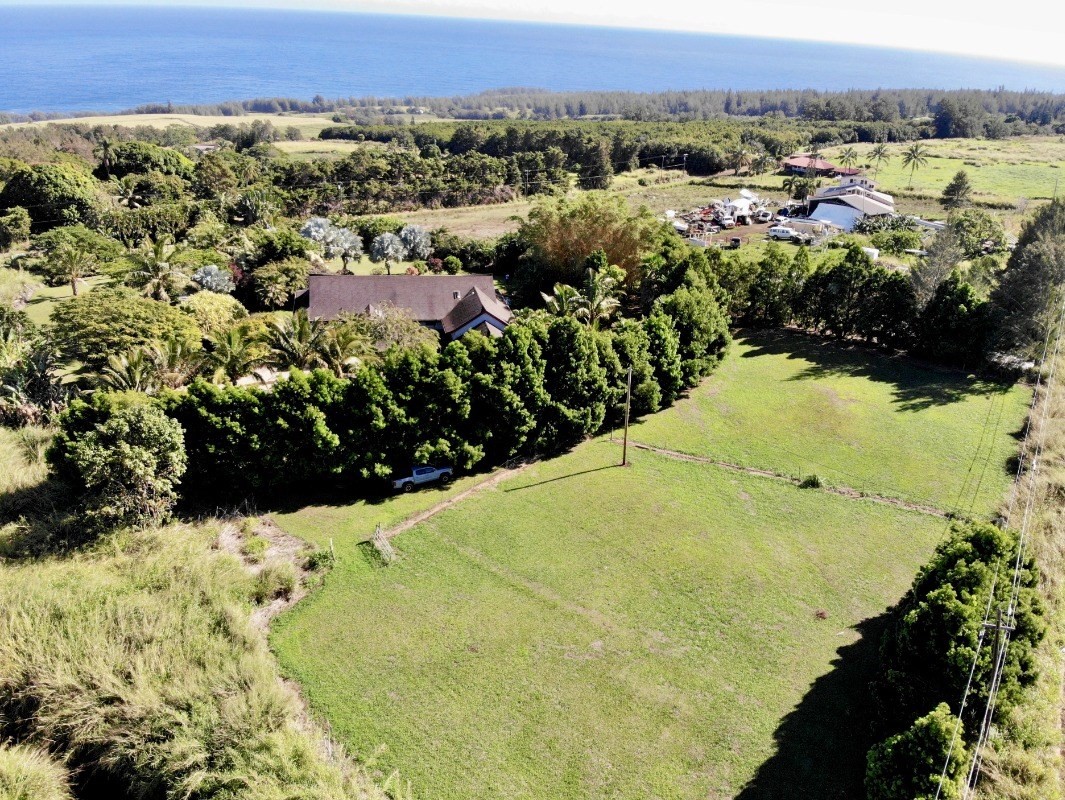 44-2325 Middle Road Honokaa, HI 96727 - Photo 25 of 28 a view of a yard and a mountain