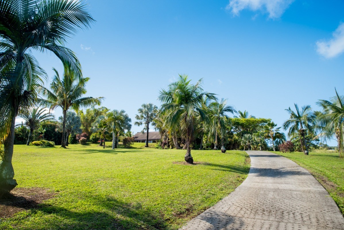 44-2325 Middle Road Honokaa, HI 96727 - Photo 28 of 28 a view of a park with palm trees