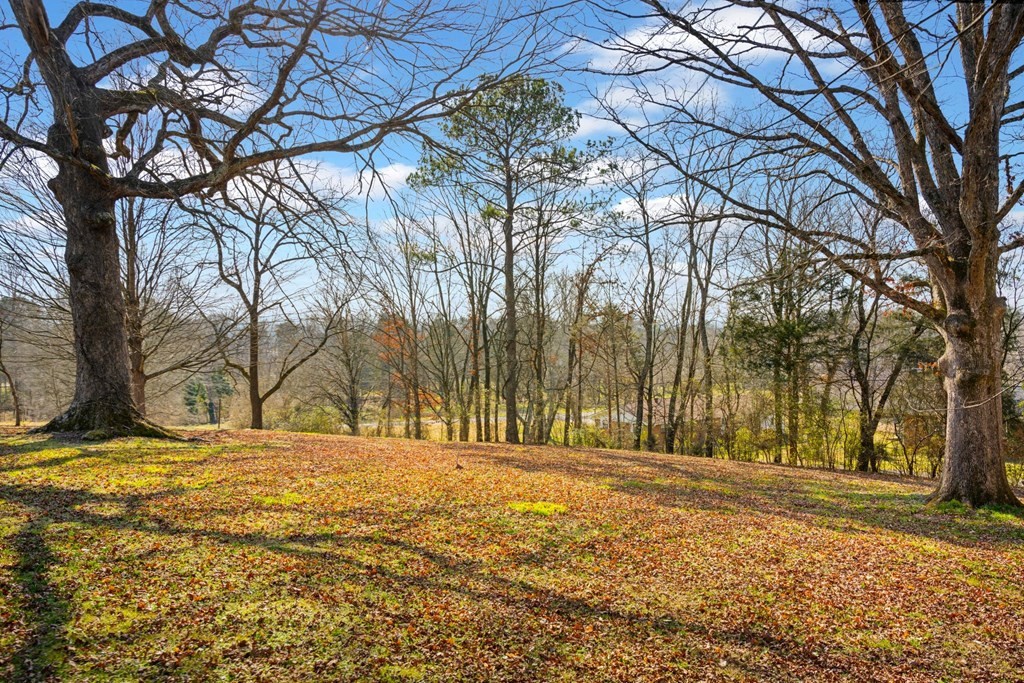 3515 Georgetown Road Northwest Cleveland, TN 37312 - Photo 20 of 23 Gallery Image 20