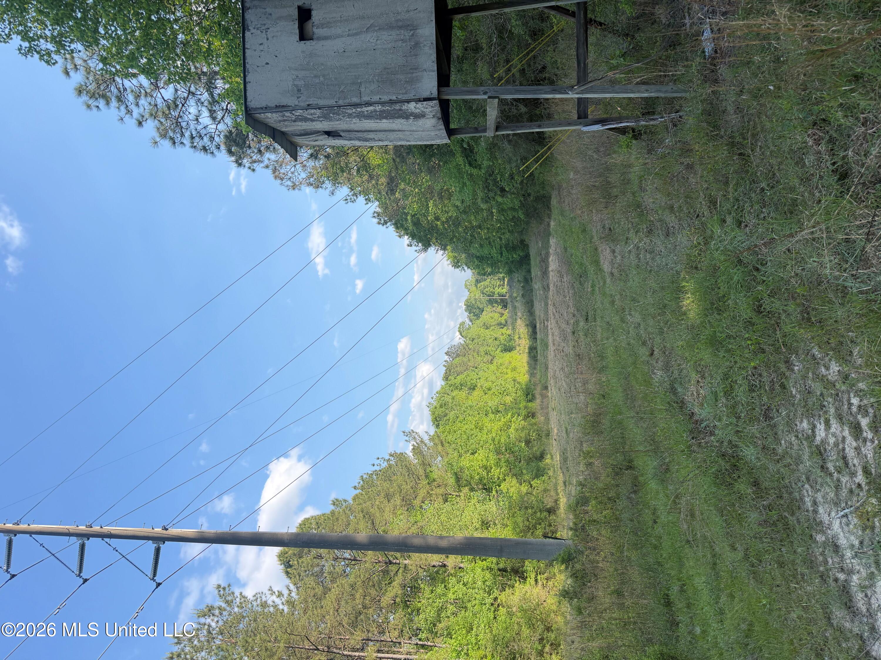 Titus Stewart Road Hattiesburg, MS 39401 - Photo 1 of 35 Food Plot on Powerline