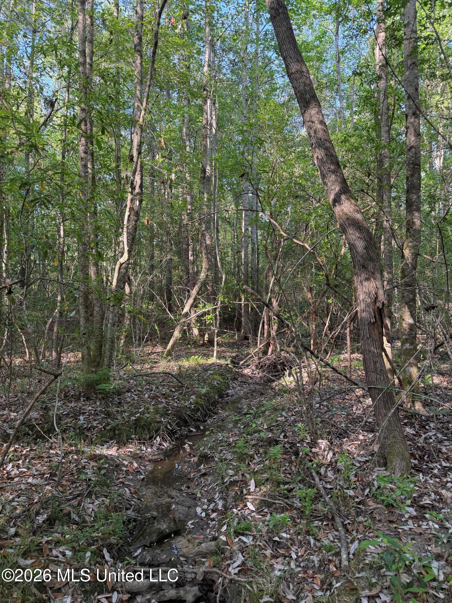 Titus Stewart Road Hattiesburg, MS 39401 - Photo 11 of 35 Photo Apr 16 2026, 5 11 08 PM