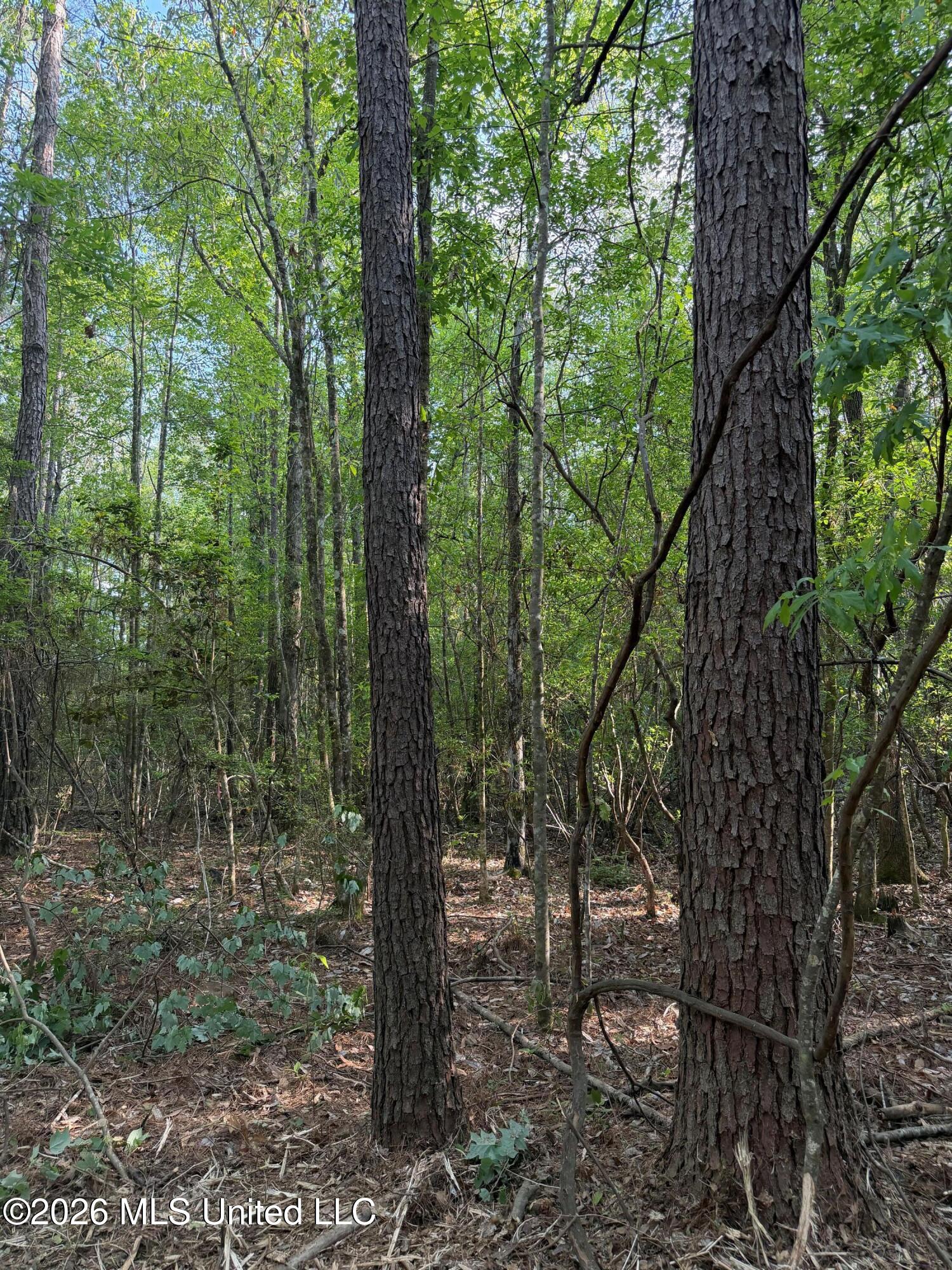 Titus Stewart Road Hattiesburg, MS 39401 - Photo 14 of 35 Photo Apr 16 2026, 5 12 53 PM