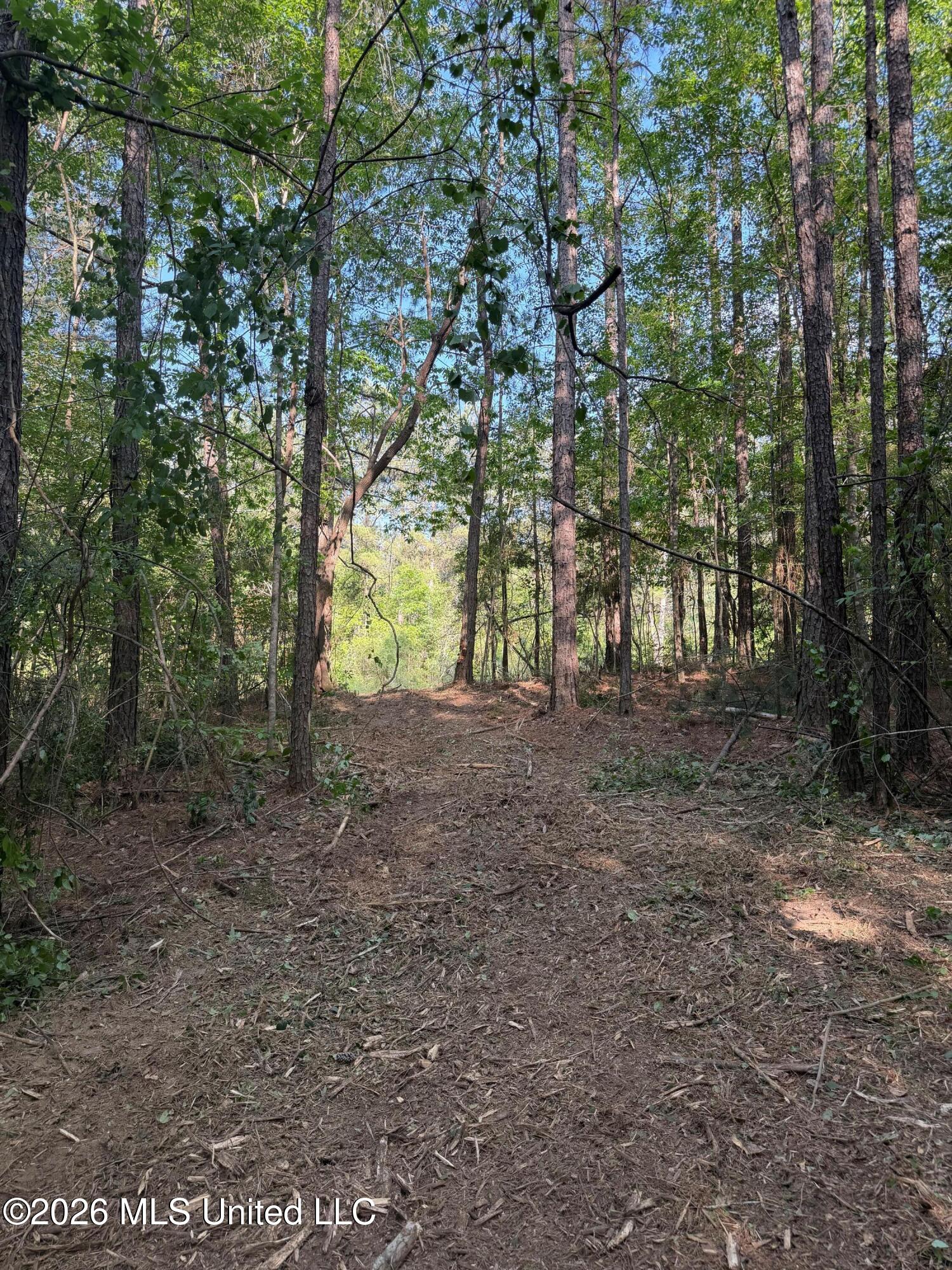 Titus Stewart Road Hattiesburg, MS 39401 - Photo 15 of 35 Photo Apr 16 2026, 5 13 17 PM