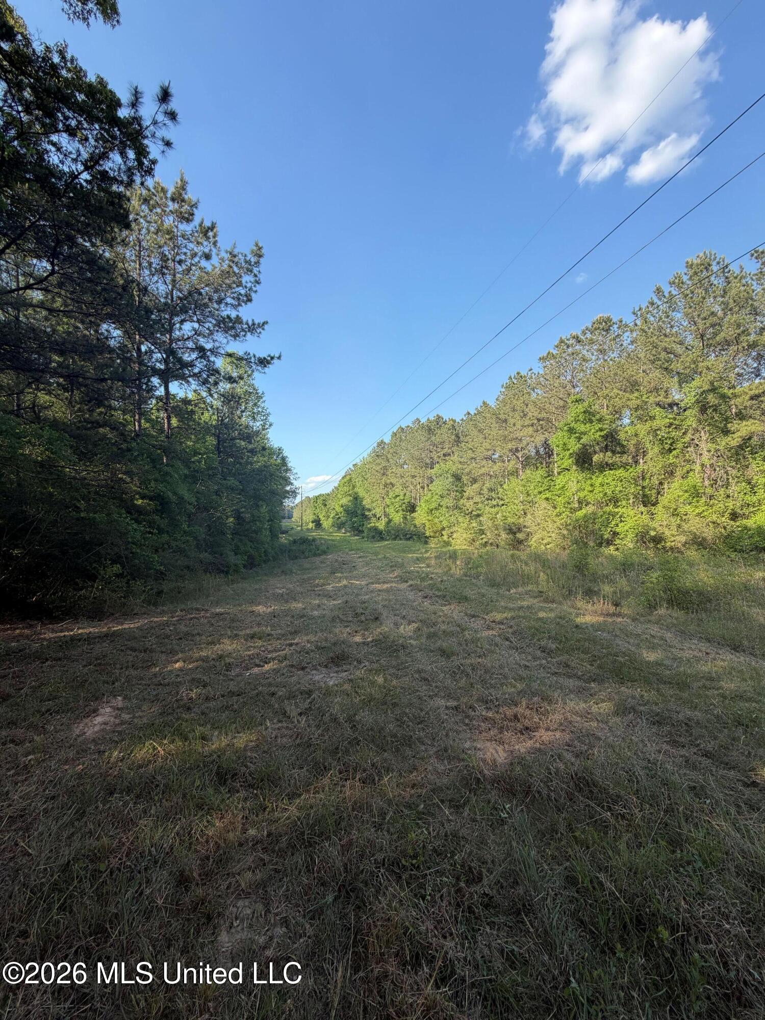 Titus Stewart Road Hattiesburg, MS 39401 - Photo 16 of 35 Photo Apr 16 2026, 5 14 01 PM