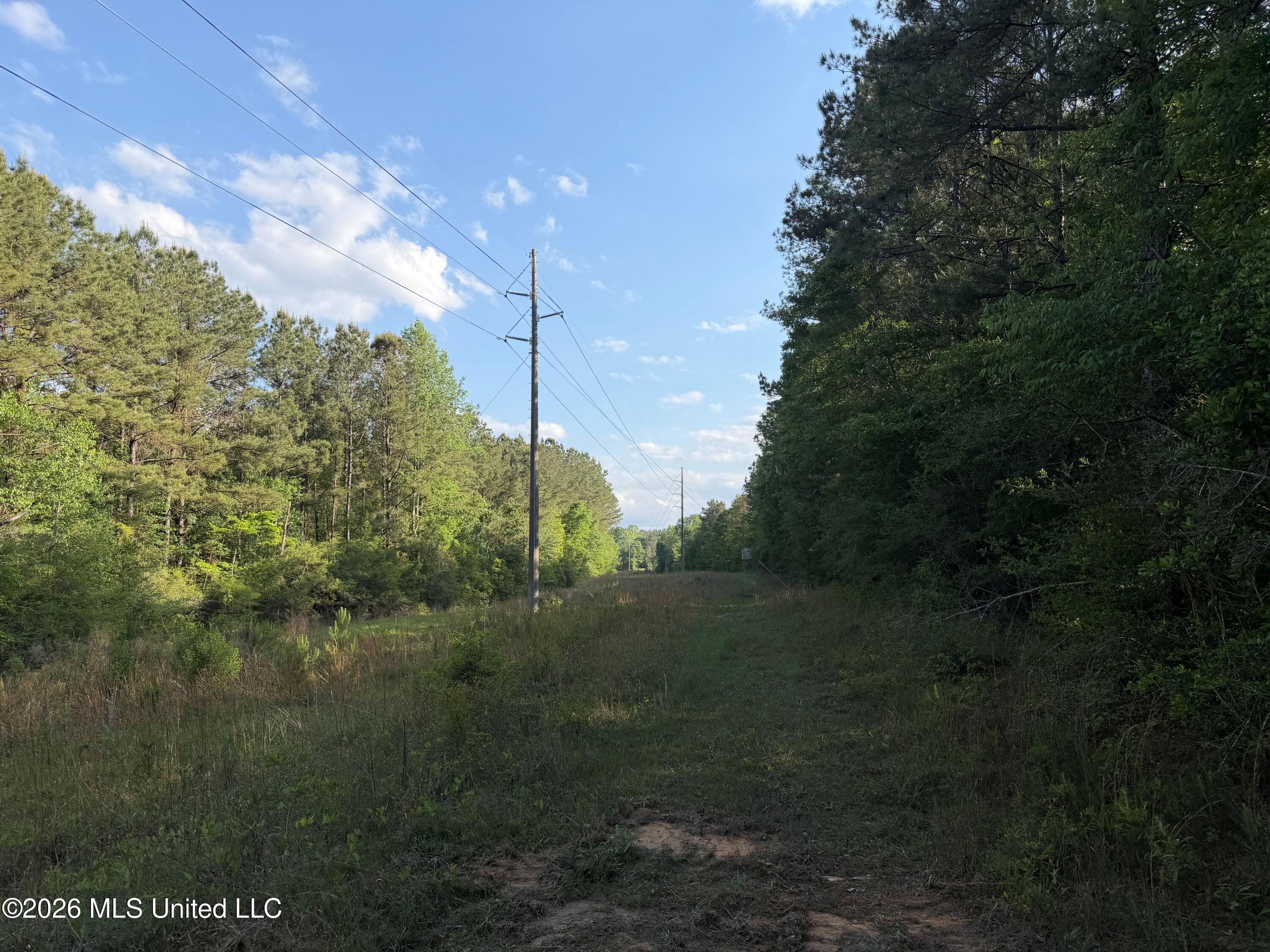 Titus Stewart Road Hattiesburg, MS 39401 - Photo 18 of 35 Photo Apr 16 2026, 5 14 44 PM