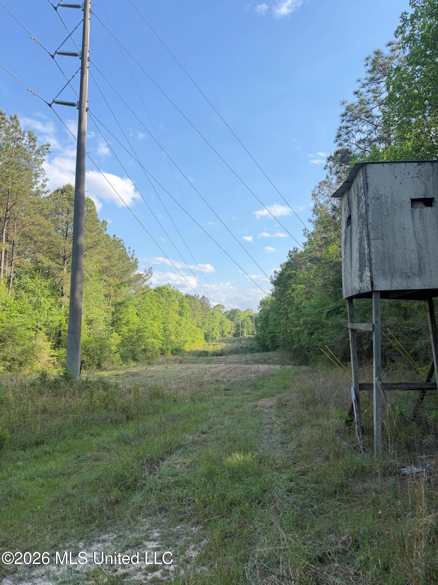 Titus Stewart Road Hattiesburg, MS 39401 - Photo 19 of 35 Photo Apr 16 2026, 5 17 15 PM