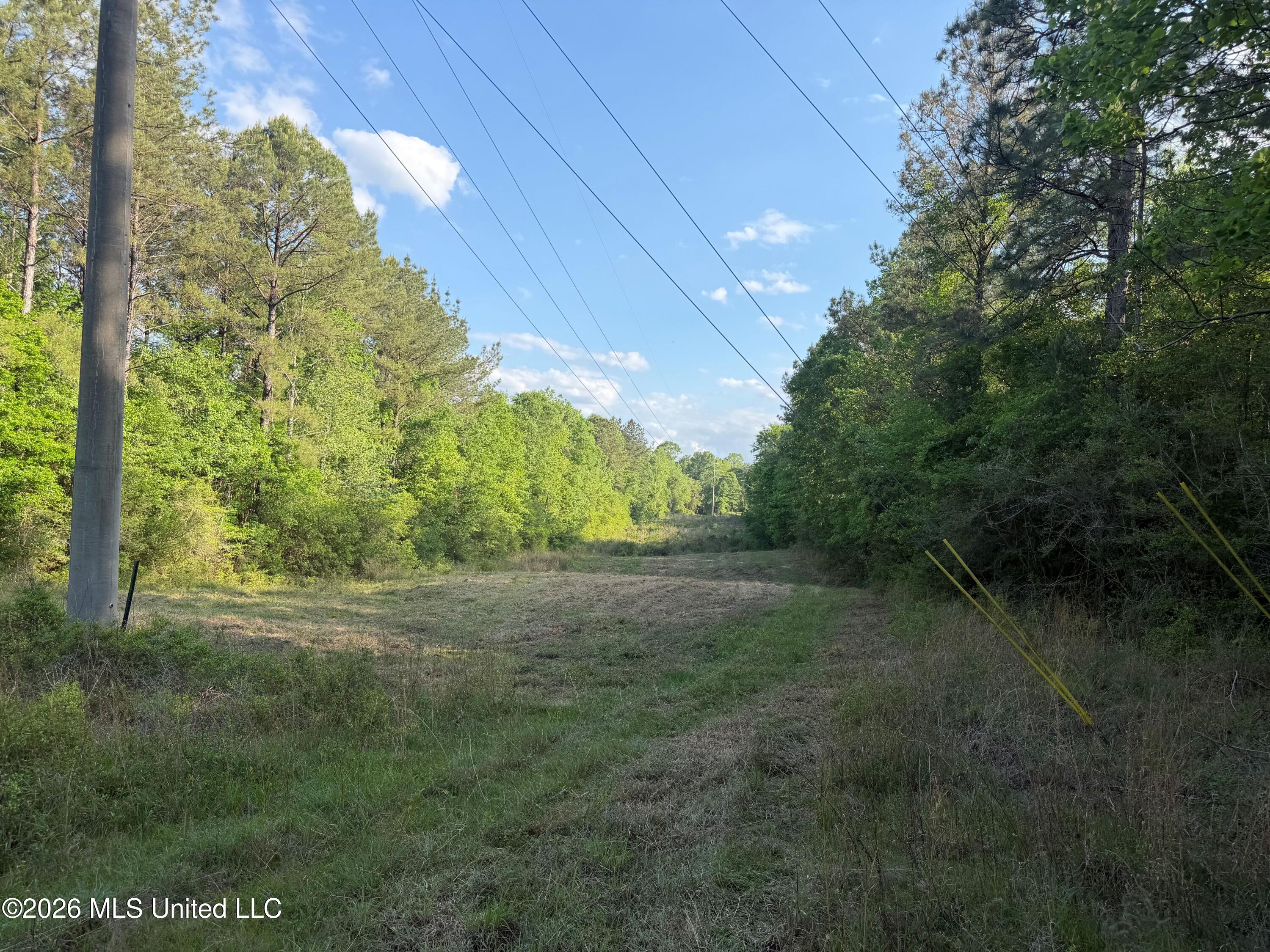 Titus Stewart Road Hattiesburg, MS 39401 - Photo 20 of 35 Photo Apr 16 2026, 5 18 04 PM