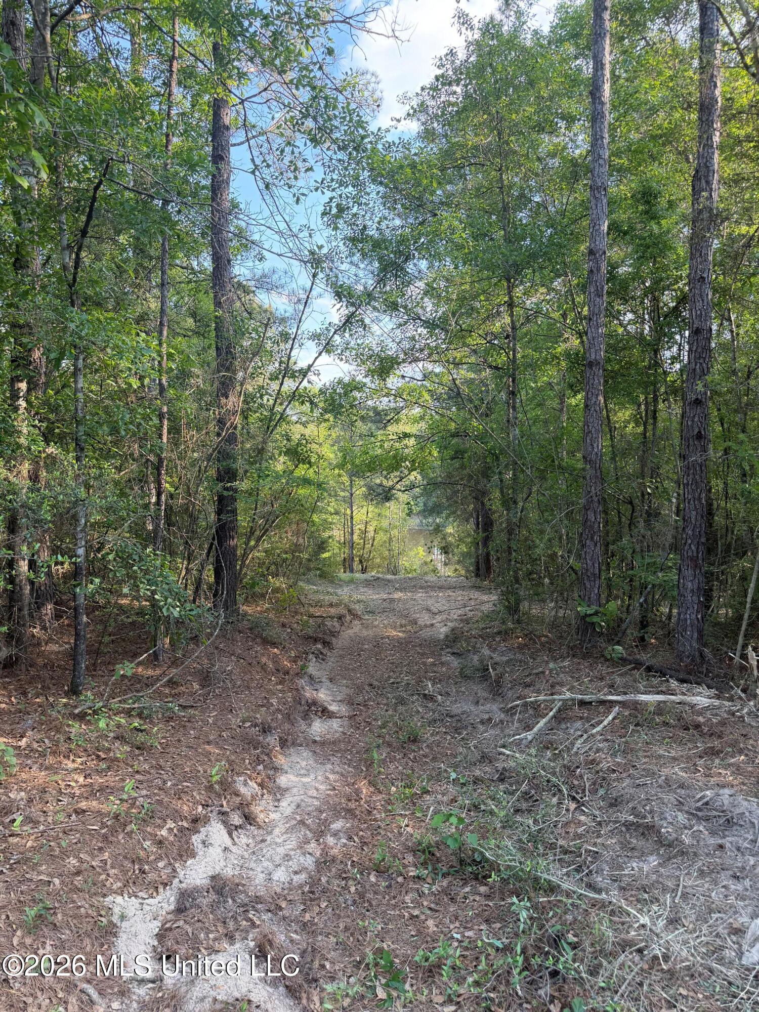 Titus Stewart Road Hattiesburg, MS 39401 - Photo 22 of 35 Photo Apr 16 2026, 5 23 34 PM