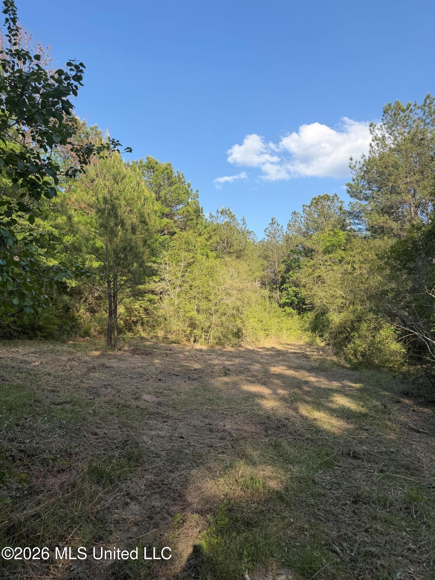 Titus Stewart Road Hattiesburg, MS 39401 - Photo 23 of 35 Photo Apr 16 2026, 5 24 21 PM