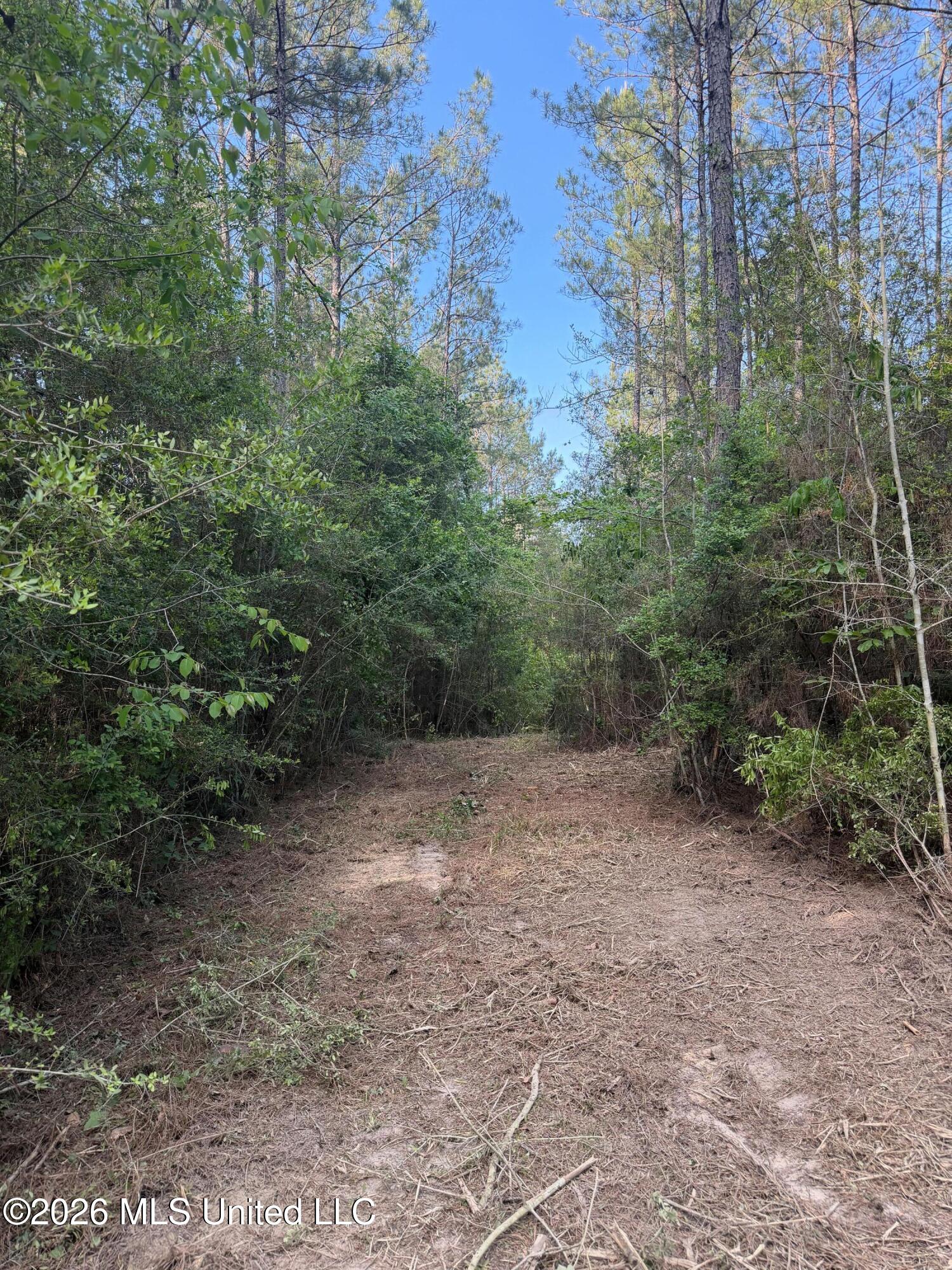 Titus Stewart Road Hattiesburg, MS 39401 - Photo 26 of 35 Photo Apr 16 2026, 5 34 11 PM