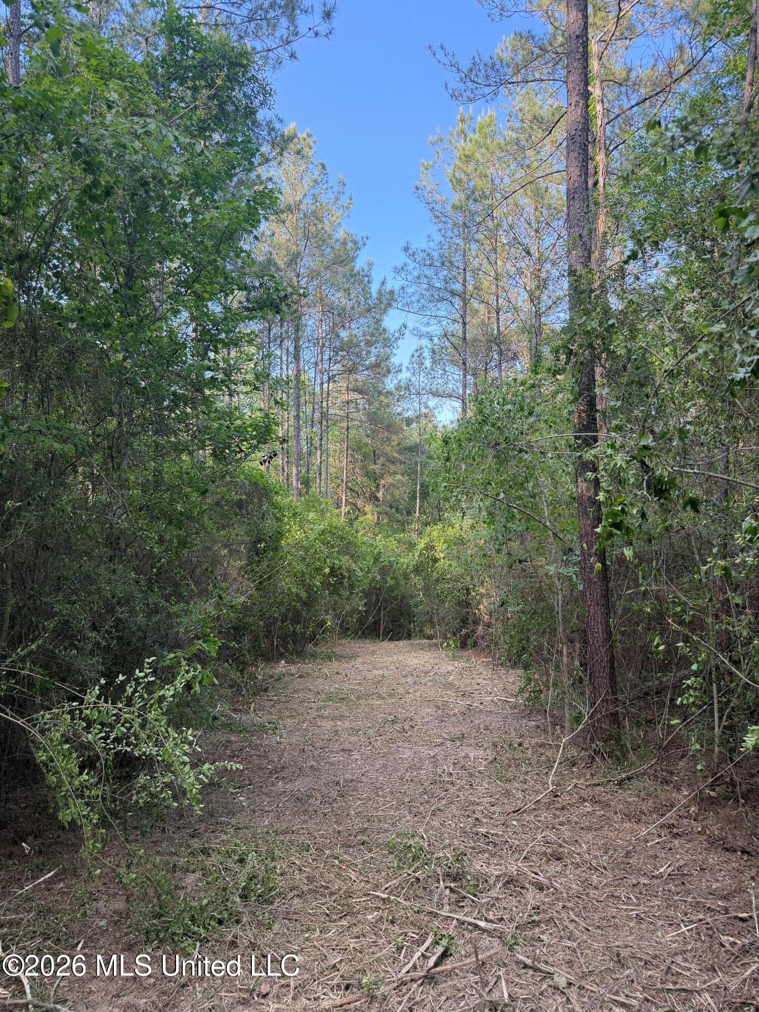 Titus Stewart Road Hattiesburg, MS 39401 - Photo 27 of 35 Photo Apr 16 2026, 5 35 06 PM