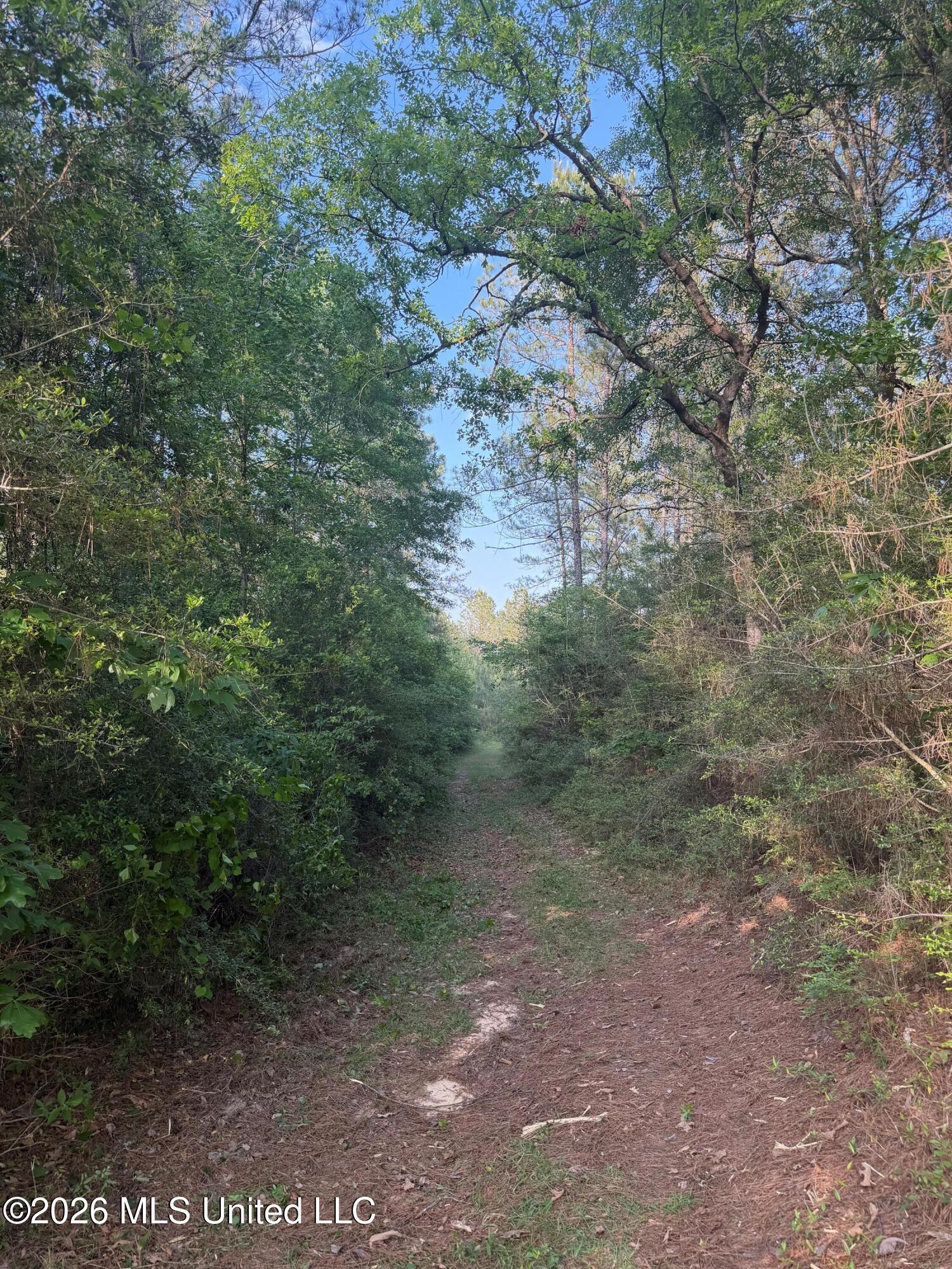 Titus Stewart Road Hattiesburg, MS 39401 - Photo 28 of 35 Photo Apr 16 2026, 5 45 17 PM
