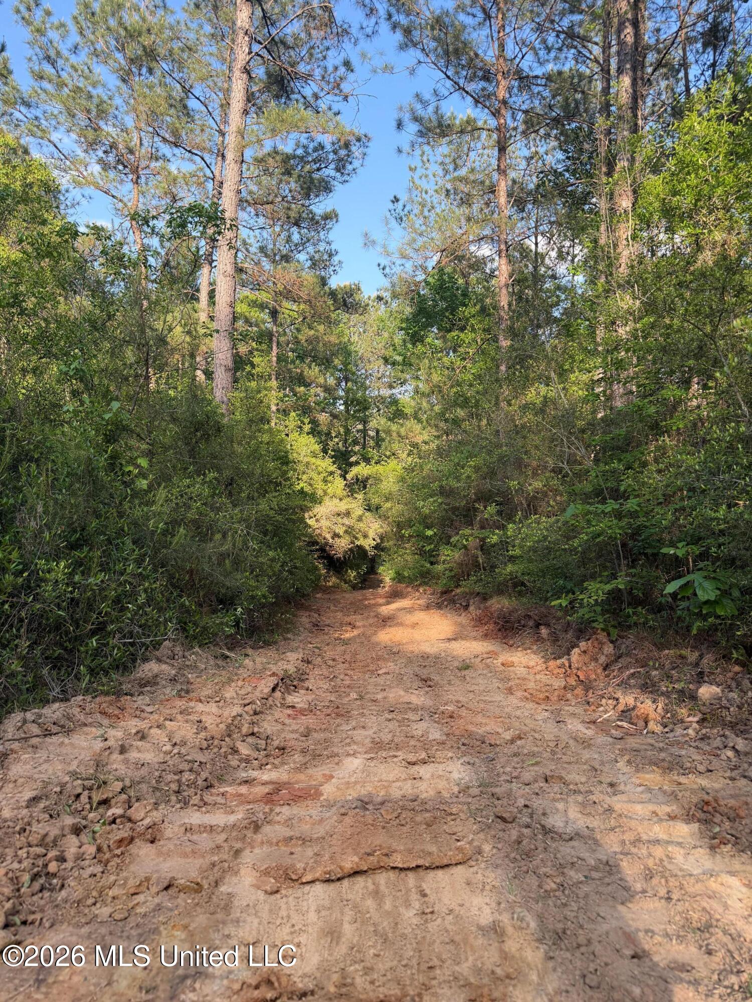 Titus Stewart Road Hattiesburg, MS 39401 - Photo 29 of 35 Photo Apr 16 2026, 5 46 48 PM