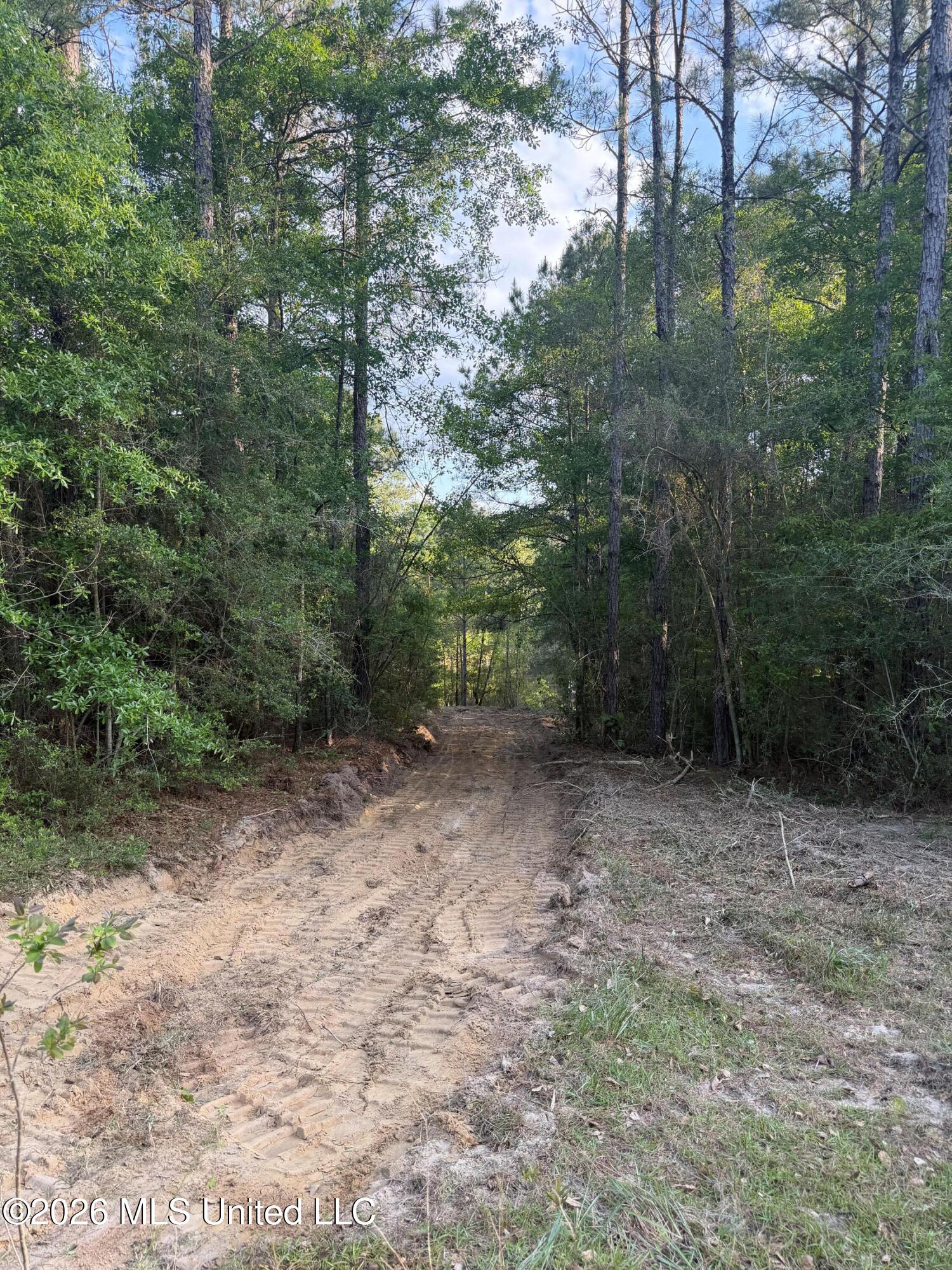 Titus Stewart Road Hattiesburg, MS 39401 - Photo 30 of 35 Photo Apr 16 2026, 5 51 01 PM